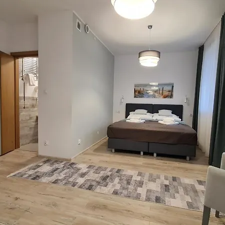 Apartman Chopina 29 *