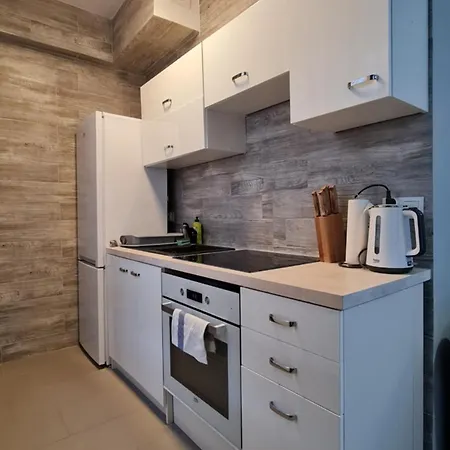 Apartman Chopina 29