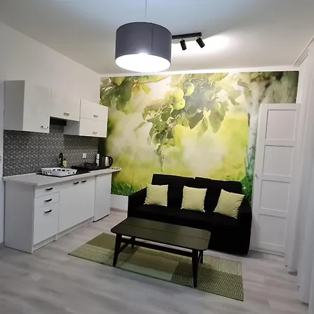 Apartman Chopina 29